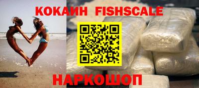крисы Моздок