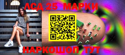 крисы Моздок