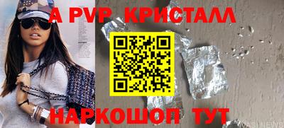 крисы Моздок