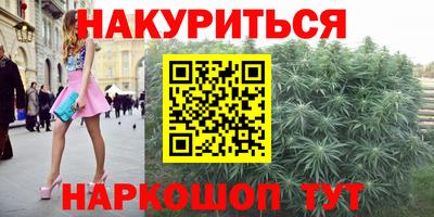 крисы Моздок