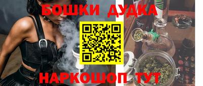 крисы Моздок