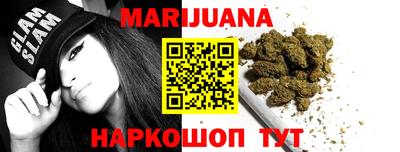 крисы Моздок