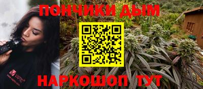 крисы Моздок