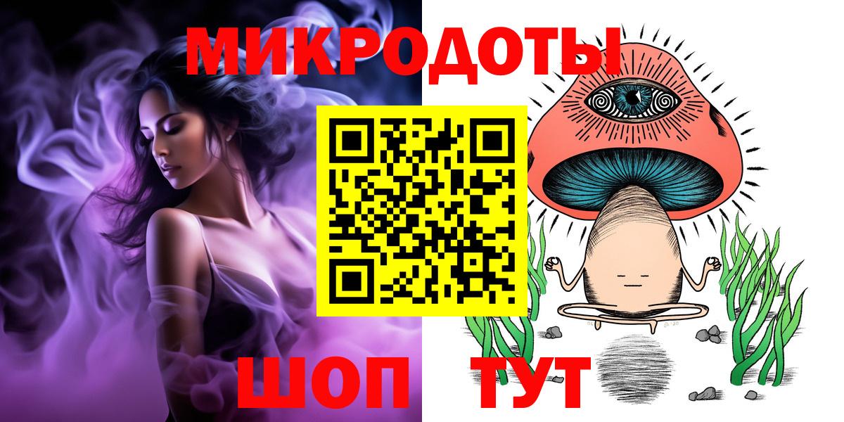 Галлюциногенные грибы Psilocybine cubensis Брянск