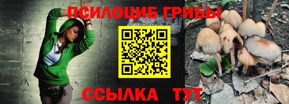 Галлюциногенные грибы мухоморы  Вход с VPN  Брянск 